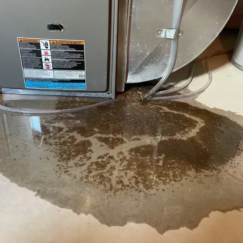 Appliance Leak Cleanup in Cave City, KY